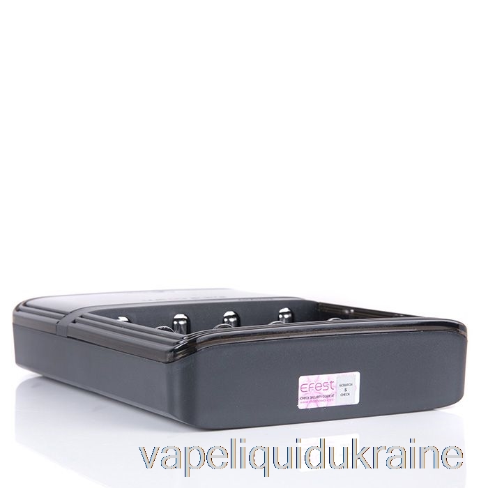 Vape Liquid Ukraine Efest LUC V4 Elite HD LCD Charger