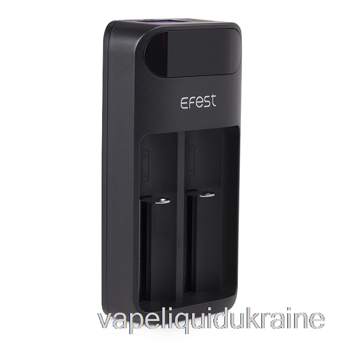 Vape Ukraine Efest LUSH Q2 2-Bay Intelligent LED Battery Charger