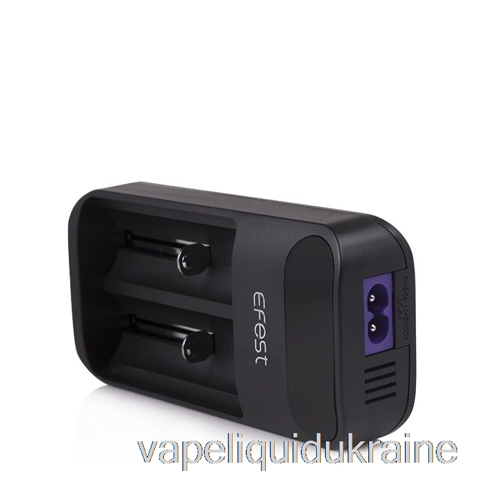 Vape Ukraine Efest LUSH Q2 2-Bay Intelligent LED Battery Charger